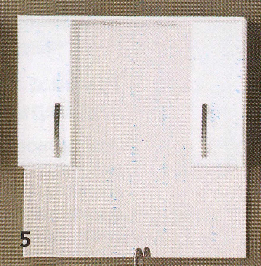 SL Зеркальный шкаф "НЕАПОЛЬ 1000/С" 