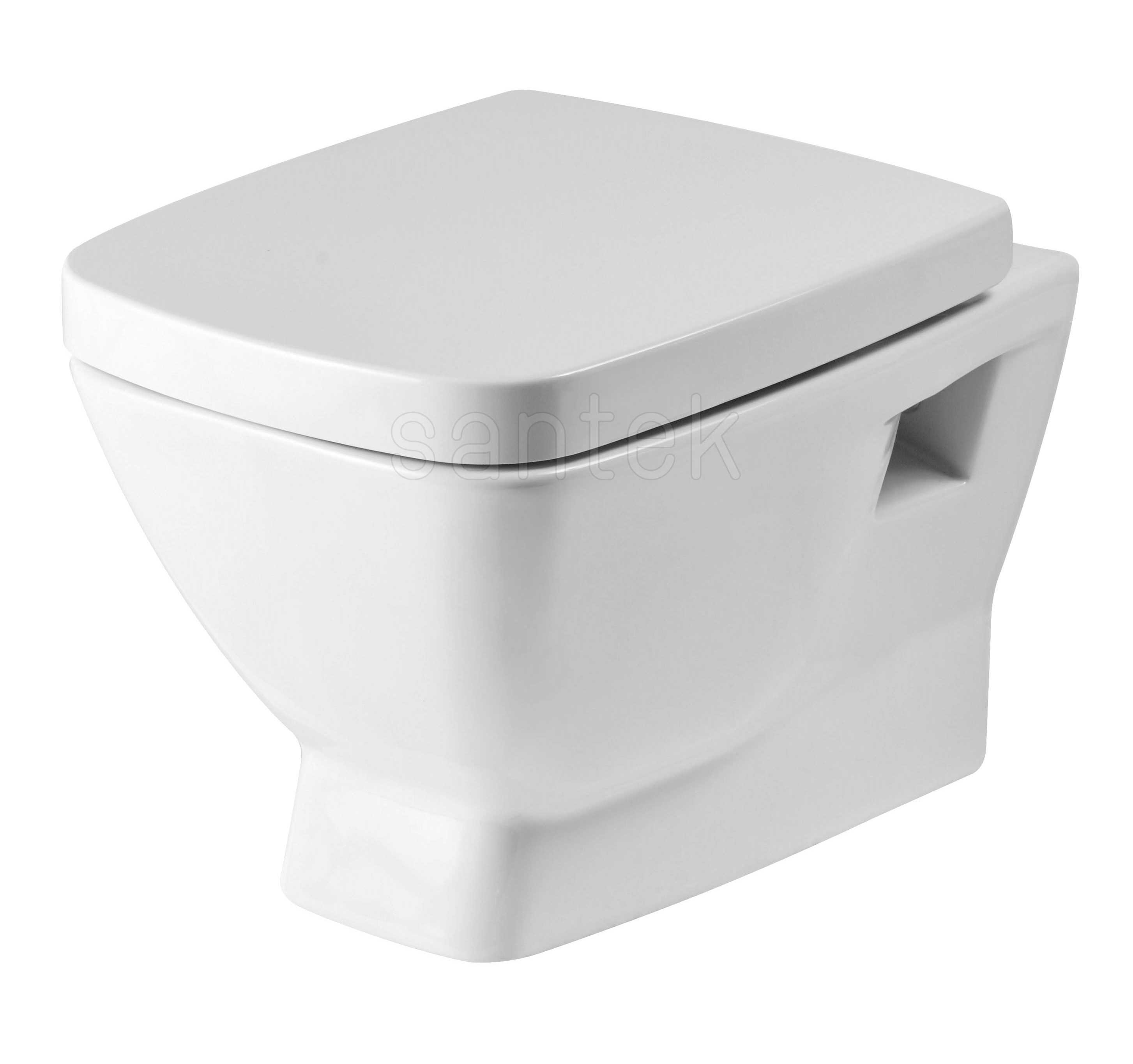 Унитаз подвесной "НЕО" ДС МЕ без микролифта /Santek/ 1WH302410